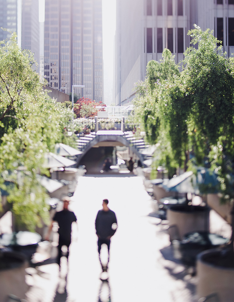 Strategy Consulting, Marketing Consulting, Operations Consulting, Financial Consulting, HR Consulting, Compliance Consulting, Legal Consulting, Technology / IT Consulting